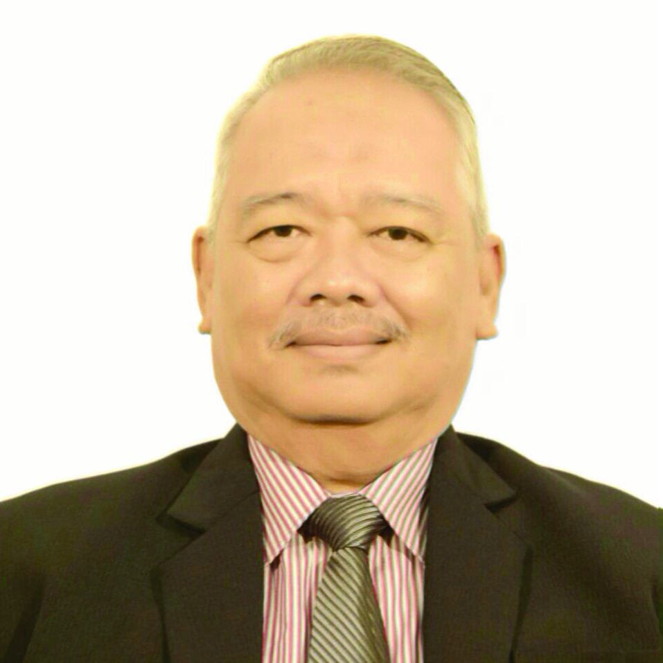 Prof. Dr. Armaidy Armawi, M.Si.